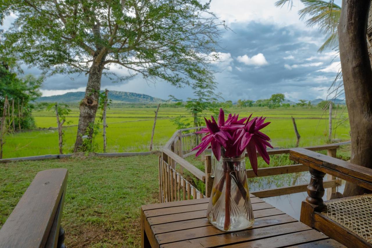 Gaga Bees Yala Villa Tissamaharama Exterior photo