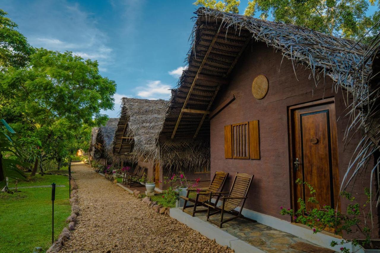 Gaga Bees Yala Villa Tissamaharama Exterior photo